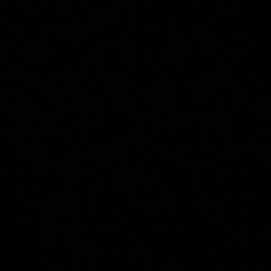 Meet your Posher, Narissa